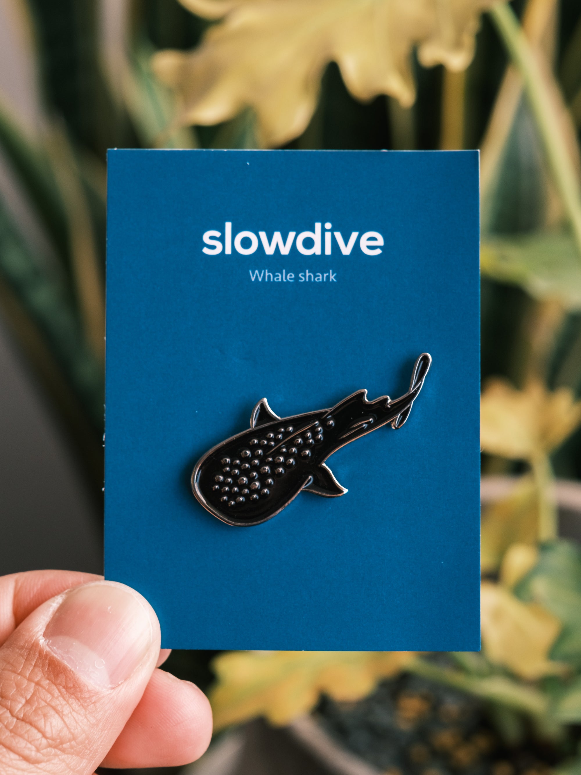 海洋邂逅，金屬徽章