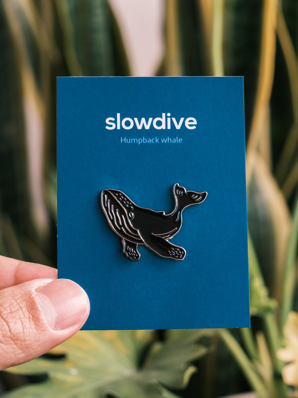 海洋邂逅，金屬徽章